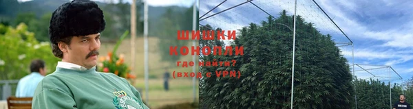 мет Гусев