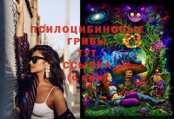 первитин Гусиноозёрск