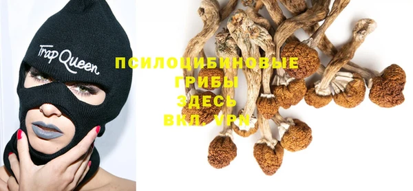 мет Гусев