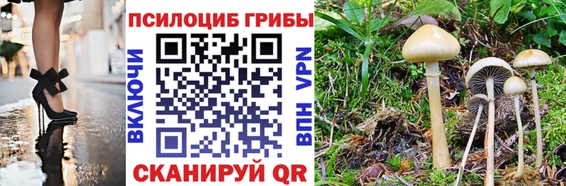 MEGA ССЫЛКА  Лесозаводск  Псилоцибиновые грибы GOLDEN TEACHER 
